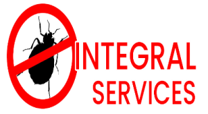 INTEGRAL SERVICES