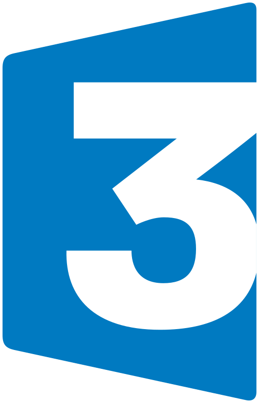 GUEPES APENS - logo