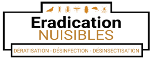 ERADICATION NUISIBLES NORD