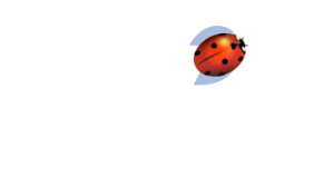 PVS