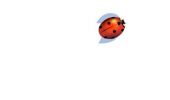 PVS - logo