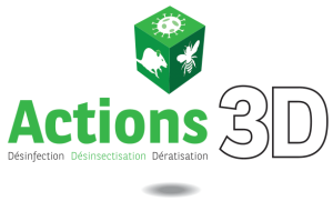 ACTIONS 3D
