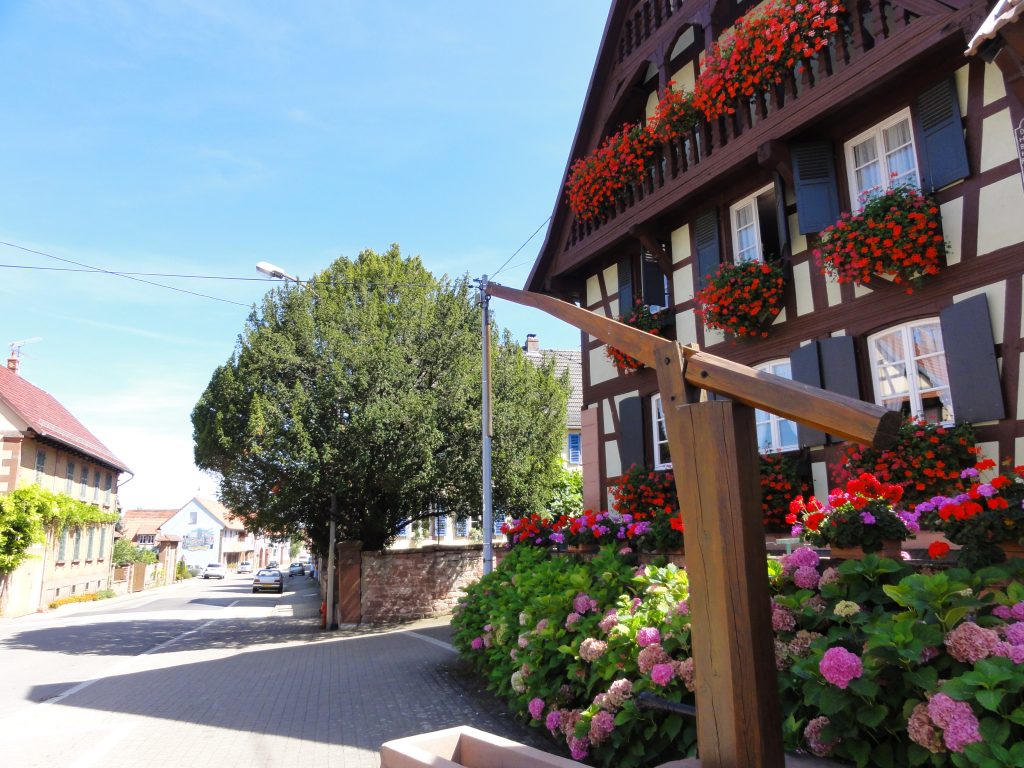 Vue de Obermodern-Zutzendorf