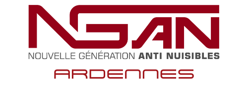 Logo de NGAN
