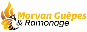 Logo de Morvan Guêpes & Ramonage