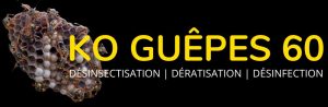 Logo de KO Guêpes 60