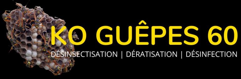 Logo de KO Guêpes 60