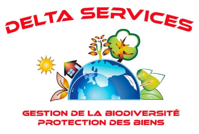 Logo de Delta Services