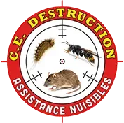 C . E Destruction - logo