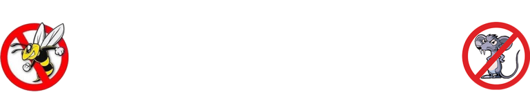 Sabathier Romain - logo