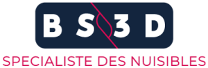 BS3D - logo
