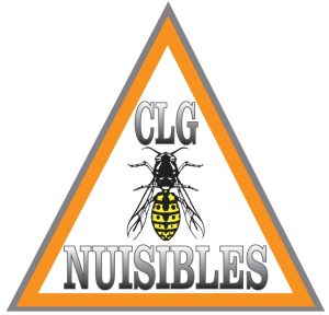 𝐂𝐋𝐆 𝐍𝐮𝐢𝐬𝐢𝐛𝐥𝐞𝐬-𝐆𝐮ê𝐩𝐞𝐬-𝐅𝐫𝐞𝐥𝐨𝐧𝐬 - logo