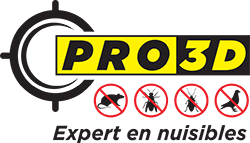 Pro-3D - logo