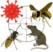 D -Nuisibles EURL - logo