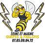 Seine et Marne Guêpes & Frelons - logo