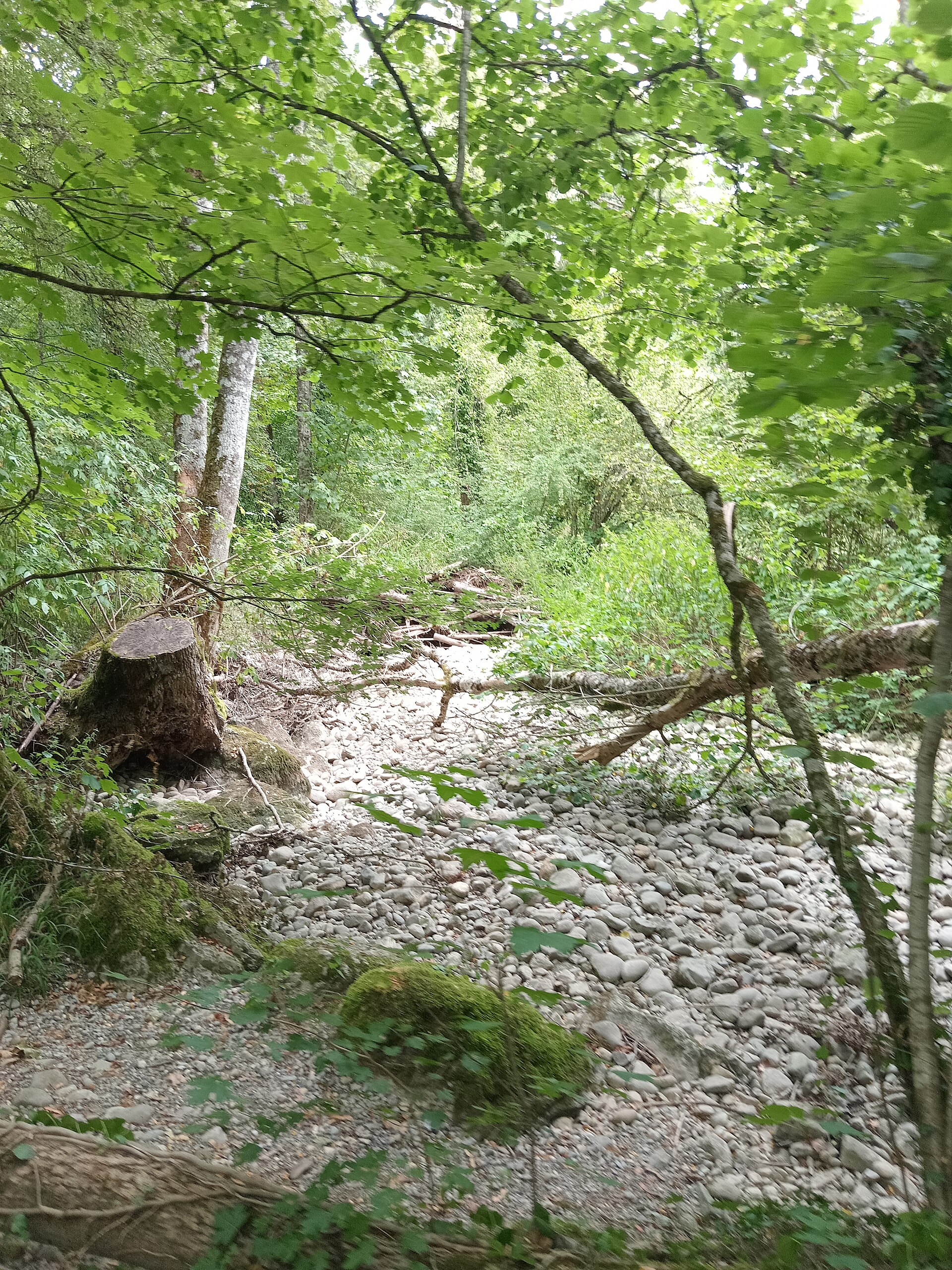 Vue du Haute-Savoie (74)